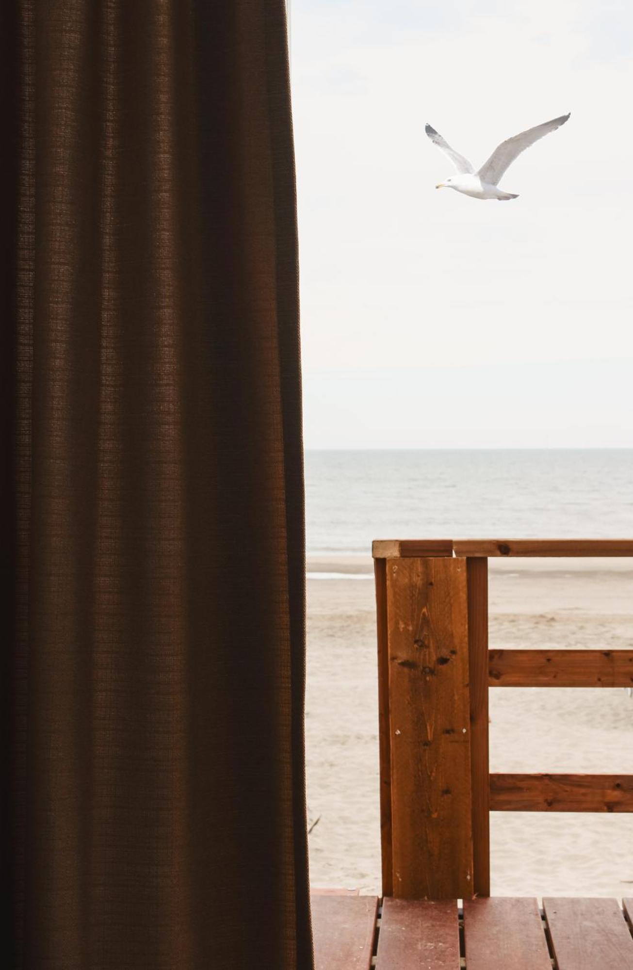 Strandhuisjes Zoomers Aan Zee Castricum Buitenkant foto
